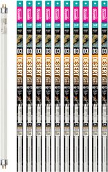 Arcadia Reptile D3+ T5 Bulb Bulk Pack, Desert 12% UVB, 24W, 22", 10 count