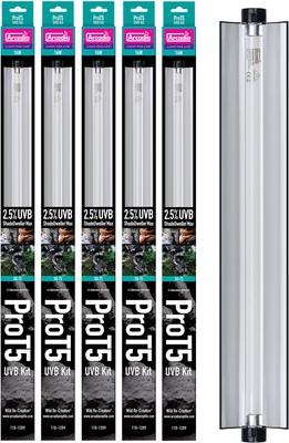 エメラルドアゲハ 06a3587a-c821-7bb2-8000-