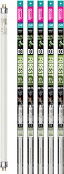 Arcadia Reptile D3+ Reptile T5 Bulb Bulk Pack, Forest 6% UVB, 24W, 22", 5 count