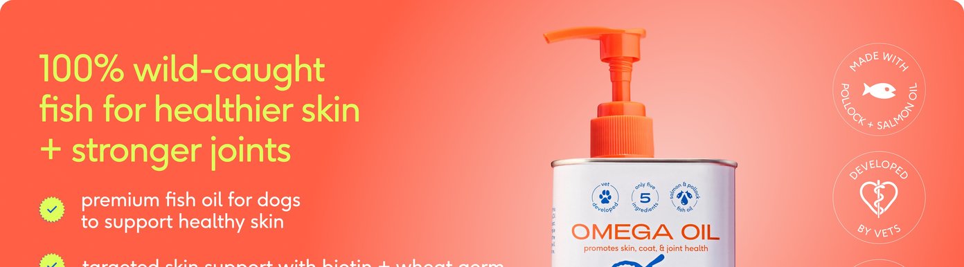 An orange promotional banner highlights Native Pet's "Omega Oil" supplement, which uses 100% wild-caught fish to promote healthier skin, a shiny coat, and stronger joints. Bulleted details explain that it is a premium fish oil for dogs that targets skin support using biotin and wheat germ while supplying omega-3 fatty acids for a healthy inflammatory response in their joints. A white metal bottle with an orange pump mechanism showcases a simple dog graphic alongside several circular badges: "Made with Pollock + Salmon Oil," "Developed by Vets," and a "#1 Taste Tested" star logo.