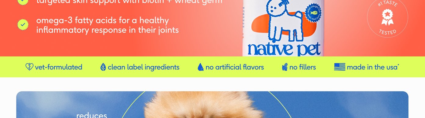 A bright lime-green horizontal graphic defines the manufacturing excellence and ingredient standards behind the liquid supplement. Accompanied by minimal blue icons, the text certifies that the product formula is vet-formulated, relies entirely on clean label ingredients, contains no artificial flavors, contains no fillers, and is proudly made in the USA.