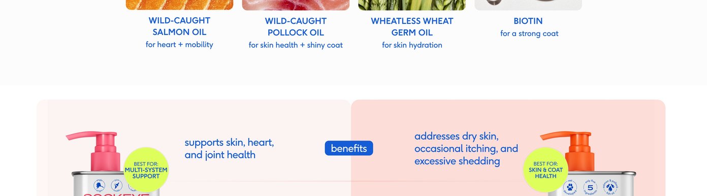 A side-by-side product comparison chart maps out the distinct differences between Native Pet's Sockeye Salmon Oil and Omega Oil. Divided by functional categories down the center, the layout details: Benefits: Sockeye Salmon Oil supports skin, heart, and joint health as a multi-system support solution; Omega Oil targets specific skin and coat health, addressing dry skin, occasional itching, and excessive shedding. How it Works: Sockeye Salmon Oil uses EPA + DHA to provide powerful antioxidant support; Omega Oil provides an ideal ratio of Omega-3 fatty acids to support overall skin health. Ingredients: Sockeye Salmon Oil relies on 100% wild-caught sockeye salmon oil; Omega Oil blends wild-caught pollock and salmon oil.