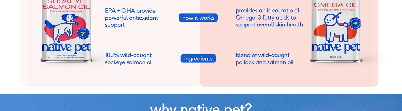 A solid blue graphic serves as a bold visual transition, introducing the central question "why native pet?" to prompt the brand's quality philosophy.