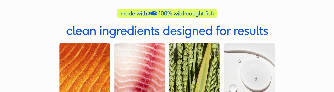 A white section isolates the pure, whole-food components of the formula, stating it is made with 100% wild-caught fish and free from any hidden additives. Four macro ingredient tiles display close-ups of the direct components: Wild-Caught Salmon Oil: For heart + mobility Wild-Caught Pollock Oil: For skin health + shiny coat Wheatless Wheat Germ Oil: For skin hydration Biotin: For a strong coat