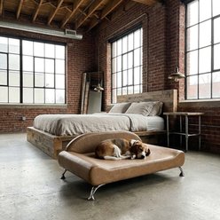 Club Nine Pets Dream Lounger Orthopedic Dog Bed, Cognac, Jumbo