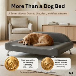 Club Nine Pets Dream Lounger Orthopedic Dog Bed, Graphite Gray, Jumbo slide 2 of 9