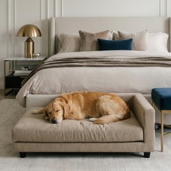 Club Nine Pets Opulent Collection Orthopedic Furniture Style Sofa Dog Bed, Sand