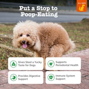 Zesty Paws Chew No Poo Chicken Flavored Soft Chews Coprophagia Stool Eating Deterrent Digestive Supplement for Dogs, 90 count
