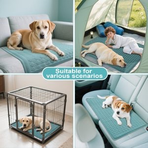 Golopet Detachable Washable Cooling Dog Crate Mat, Teal, Medium: 34 x 23-in
