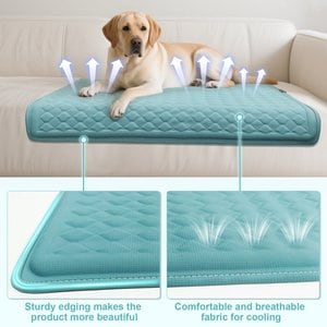 Golopet Detachable Washable Cooling Dog Crate Mat, Teal, Medium: 34 x 23-in