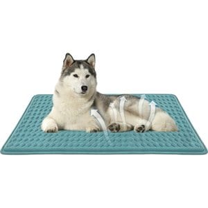 Golopet Detachable Washable Cooling Dog Crate Mat, Teal, Medium: 34 x 23-in