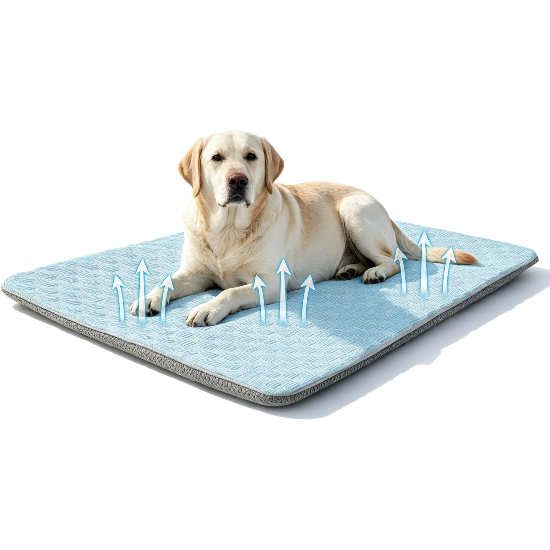 Golopet 2-in-1 Cooling Mat with Ice Pack Dog Crate Mat, Blue, Medium: 26 x 16-in