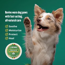 ZMA Pets Protect, Soothe & Heal Dry Cracked Balm Dog Skin Care Treatment, 2-oz jar slide 2 of 5