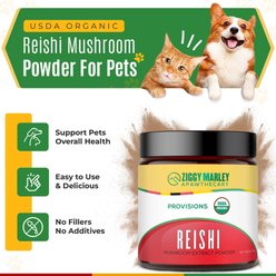ZMA Pets Reishi Mushroom Flavored Powder Comprehensive & Immune Support Supplement for Dogs & Cats, 3.17-oz jar slide 2 of 6