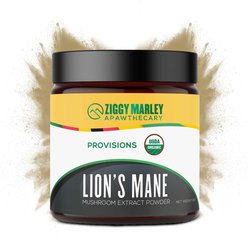 ZMA Pets Lion's Mane Mushroom Flavored Powder Brain Nervous System & Cognitive Support Supplement for Dogs & Cats, 3.17-oz jar slide 1 of 6
