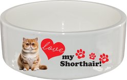 The Memory Company I Love My Exotic Shorthair Ceramic Pet Bowl, 2.5-cups