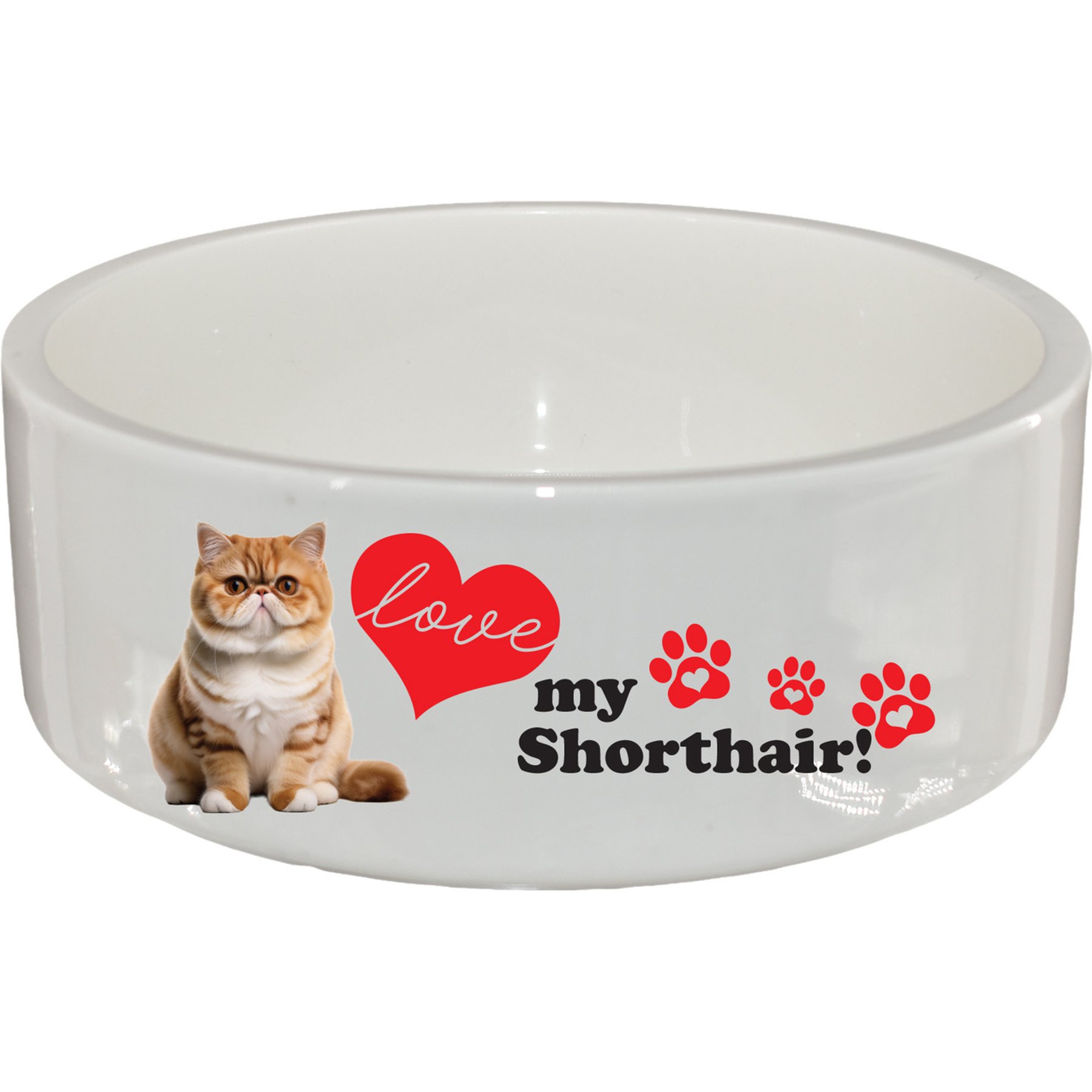 The Memory Company I Love My Exotic Shorthair Ceramic Pet Bowl, 2.5-cups