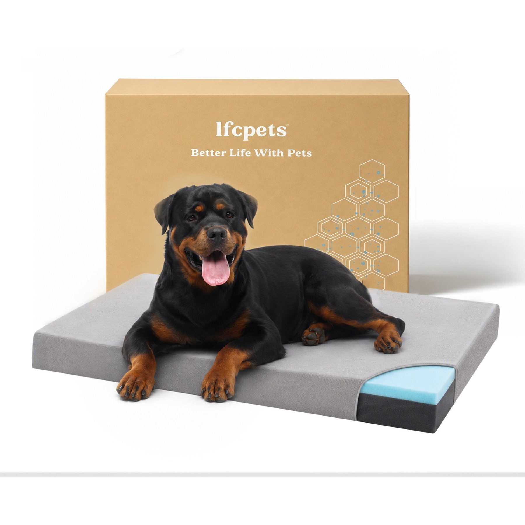 LFC PETS Orthopedic Memory Foam Dog Bed with Removable Cover, Grey, XX-Large