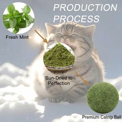Kseroo Catnip Tough Chew Ball Cat Toy, Green, Large: 2-in slide 2 of 5