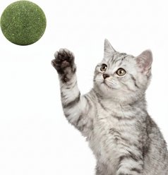 Kseroo Catnip Tough Chew Ball Cat Toy, Green, Large: 2-in