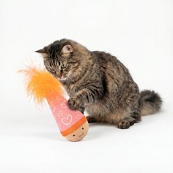 Kseroo Self-Righting Tumbler & Beechwood Interactive Training Motion Cat Toy with Feather, Pink slide 2 of 7