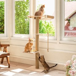 Yafylly Sunbathing & Observation 49.2-in Cat Window Perch Tree with Resting Platform, Natural, Large
