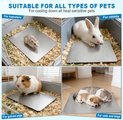 Golopet Metal Waterproof & Washable Small Animal Cooling Pad, Silver, Medium: 12 × 7.8-in slide 2 of 9
