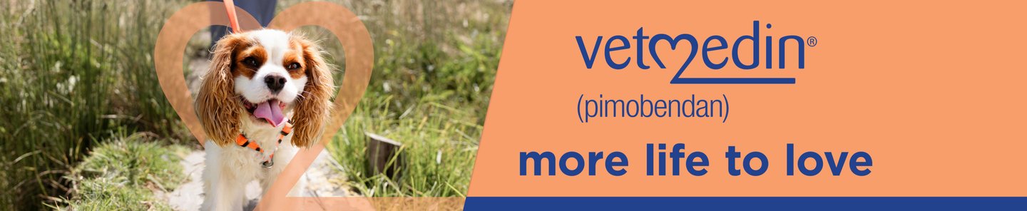 Vetmedin (pimobendan) more life to love
