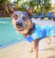 Gear up at the Summer Shop