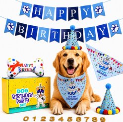 Pacific Pups Rescue Dog Birthday Party Set, Blue Stars, Medium