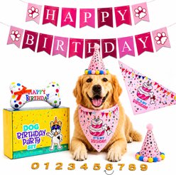 Pacific Pups Rescue Dog Birthday Party Set, Pink Sparkly Paws, Small slide 1 of 8