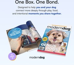 Genius Dog Birthday Party Gift Box Cake, Cookies, Bandana & Cupcake Squeaky Plush Dog Toy, White slide 2 of 7