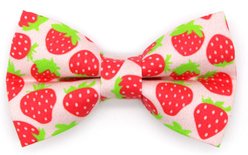Made By Cleo Strawberry Patch Cat Bow Tie