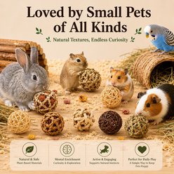 FurriHop Assorted Natural Chew Grass Ball Rabbit Toy, 8 count slide 2 of 6