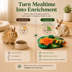 FurriHop Snuffle Foraging Mat Games & Puzzles Rabbit Toy, 17.7-in slide 2 of 6