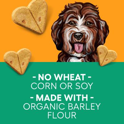 Show full view: Newman's Own Peanut Butter Biscuits Fall Pack Dog Treats, 10-oz bag slide 4 of 6