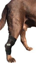 Labra Canine Heat Cold Therapy Dog Leg Wrap, Small slide 2 of 7