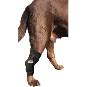 Labra Canine Heat Cold Therapy Dog Leg Wrap, Large