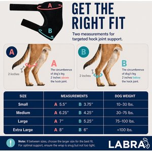 Labra Canine Heat Cold Therapy Dog Leg Wrap, Large