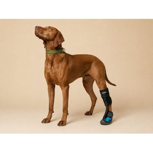 Labra Canine No Knuckling Corrector Toe Dragging Drop Foot Dog Boot Shoe, X-Large