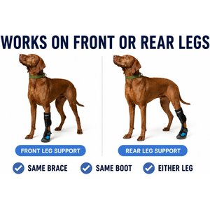 Labra Canine No Knuckling Corrector Toe Dragging Drop Foot Dog Boot Shoe, X-Large