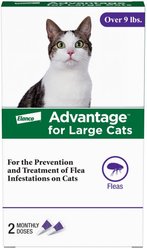 Advantage Topical Flea Prevention for Large Cats, 9 lbs+, 2-Monthly Treatments