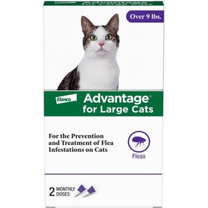 Advantage Topical Flea Prevention for Large Cats, 9 lbs+, 2-Monthly Treatments