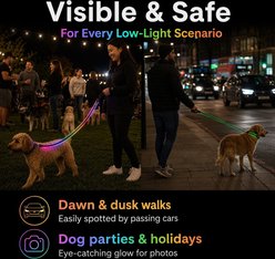 MEGAPAWS Rechargeable LED Light-Up Dog Leash, 5-ft long, 5/6-in wide, Blue slide 2 of 8