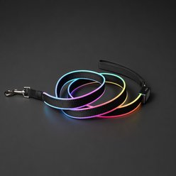 MEGAPAWS Rechargeable LED Light-Up Dog Leash, 5-ft long, 5/6-in wide, Black/RainbowLight