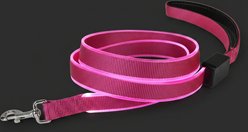 MEGAPAWS Rechargeable LED Light-Up Dog Leash, 5-ft long, 5/6-in wide, Pink