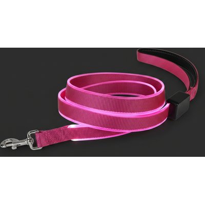 MEGAPAWS MEGAPAWS Rechargeable LED Light-Up Dog Leash, 5-ft long, 5/6-in wide, Pink