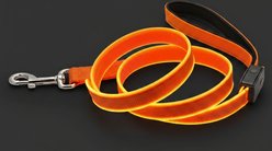 MEGAPAWS Rechargeable LED Light-Up Dog Leash, 5-ft long, 5/6-in wide, Orange