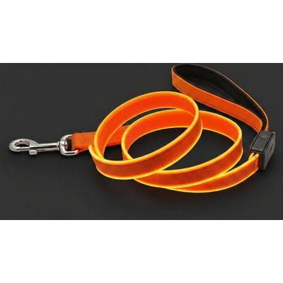 MEGAPAWS MEGAPAWS Rechargeable LED Light-Up Dog Leash, 5-ft long, 5/6-in wide, Orange