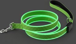 MEGAPAWS Rechargeable LED Light-Up Dog Leash, 5-ft long, 5/6-in wide, Green